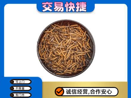 中山南区高价回收散虫草